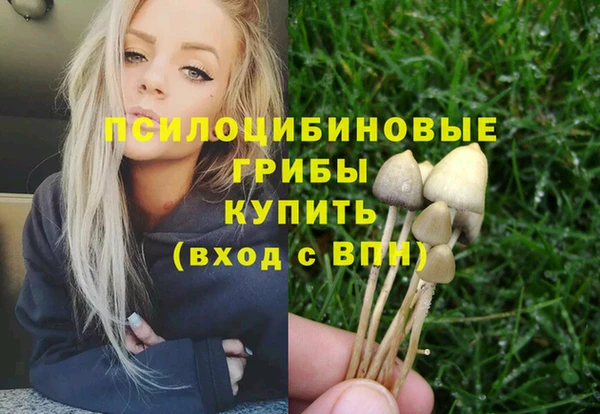 mix Алексин