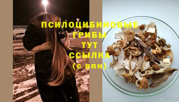 PSILOCYBIN Алексеевка