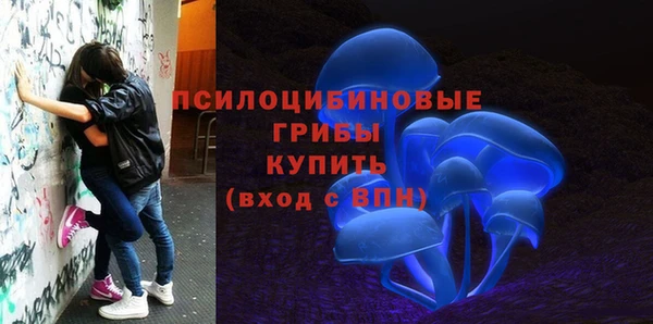 mix Алексин
