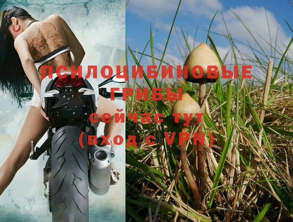 mix Алексин